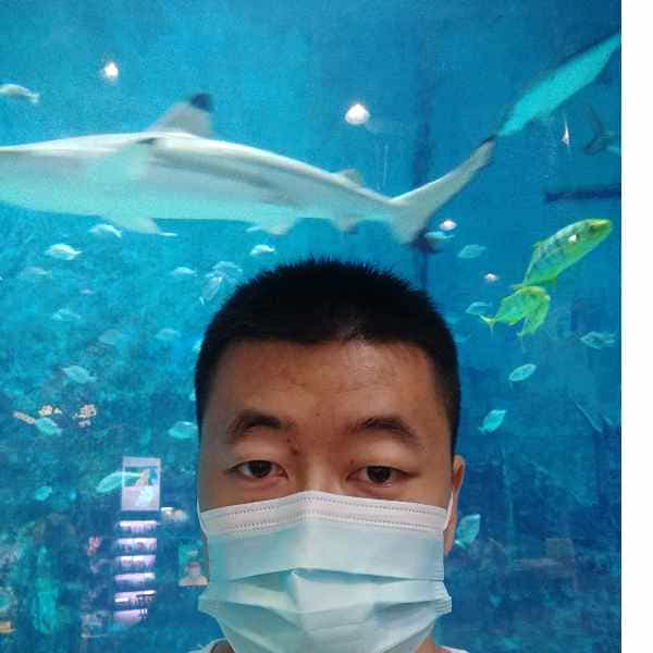 河北34岁单身帅哥真诚找对象-鸡西征婚相亲网