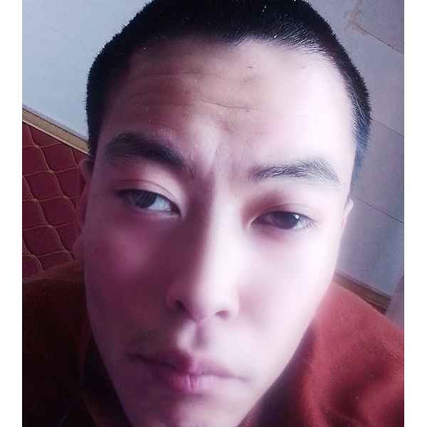 宁夏25岁单身帅哥真诚找对象-鸡西征婚相亲网