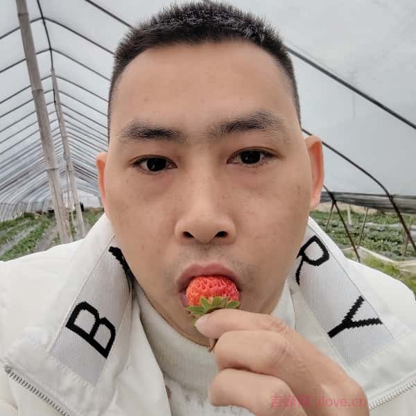 贵州37岁单身帅哥真诚找对象-鸡西征婚相亲网